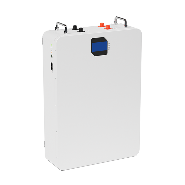 48v mounted lithium battery case